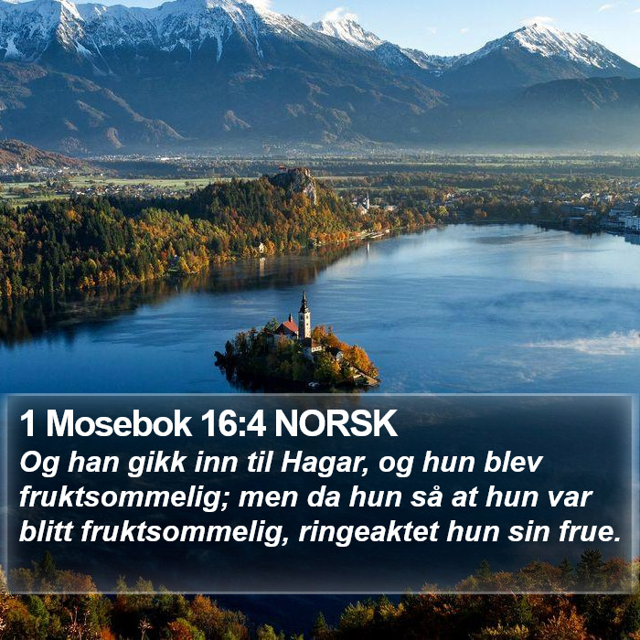 1 Mosebok 16:4 NORSK Bible Study