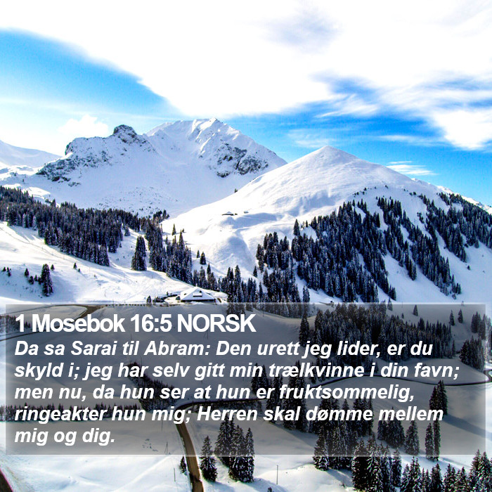 1 Mosebok 16:5 NORSK Bible Study