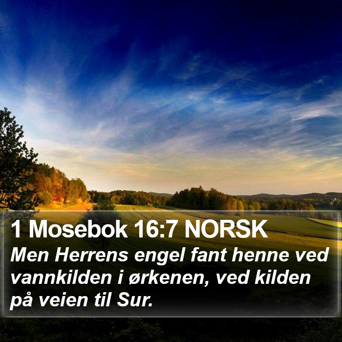 1 Mosebok 16:7 NORSK Bible Study