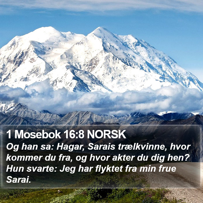 1 Mosebok 16:8 NORSK Bible Study