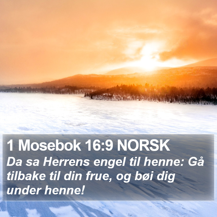 1 Mosebok 16:9 NORSK Bible Study