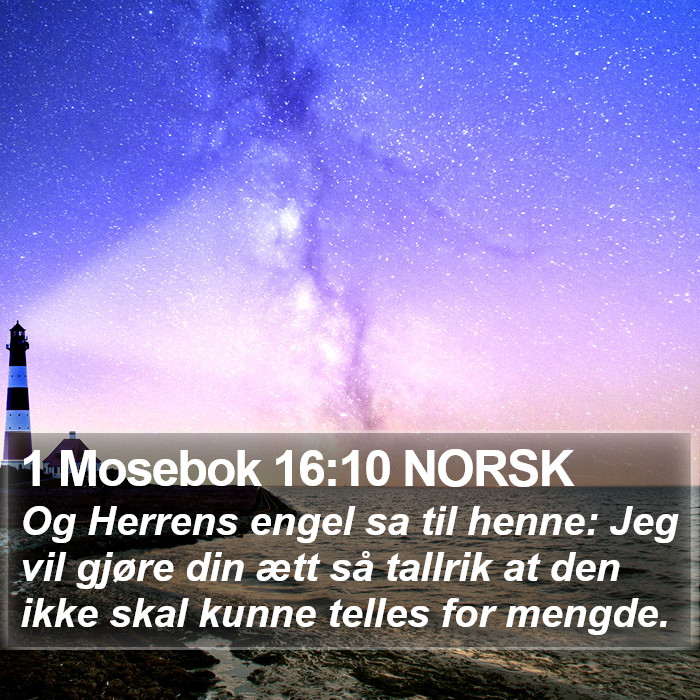 1 Mosebok 16:10 NORSK Bible Study