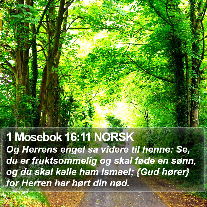 1 Mosebok 16:11 NORSK Bible Study