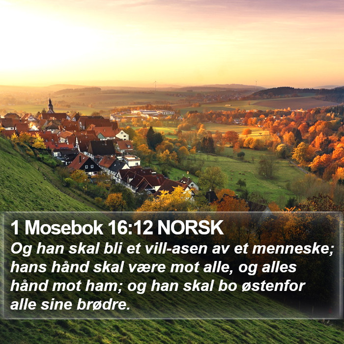 1 Mosebok 16:12 NORSK Bible Study