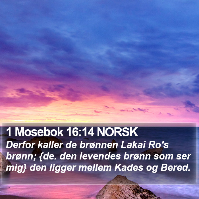 1 Mosebok 16:14 NORSK Bible Study