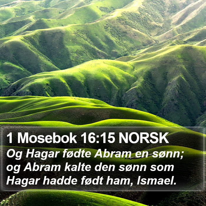 1 Mosebok 16:15 NORSK Bible Study