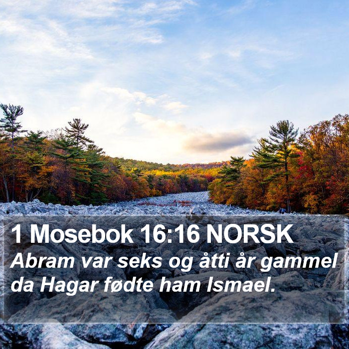 1 Mosebok 16:16 NORSK Bible Study