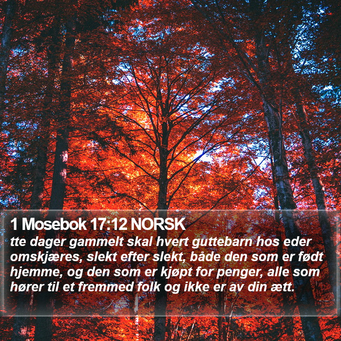 1 Mosebok 17:12 NORSK Bible Study