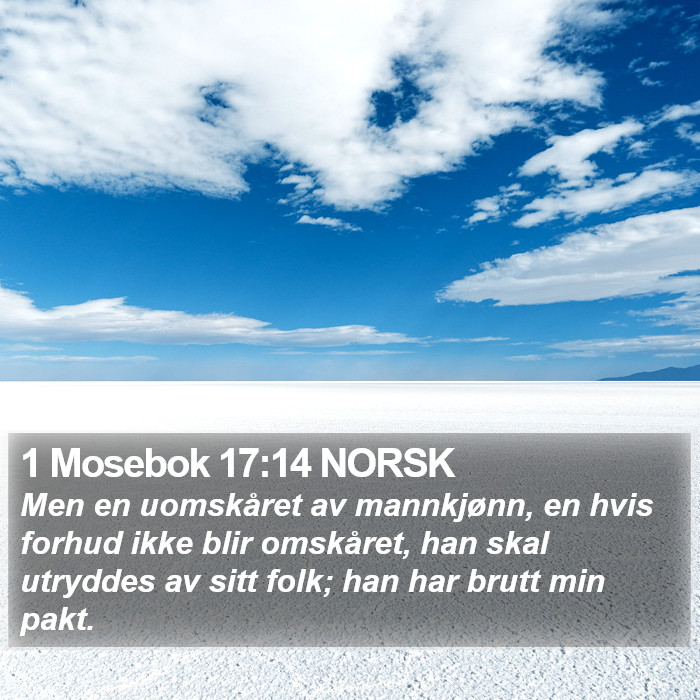 1 Mosebok 17:14 NORSK Bible Study