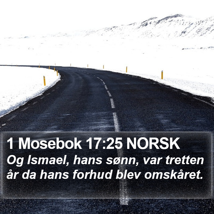 1 Mosebok 17:25 NORSK Bible Study