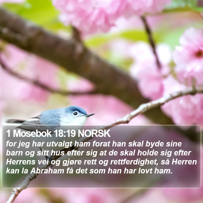 1 Mosebok 18:19 NORSK Bible Study