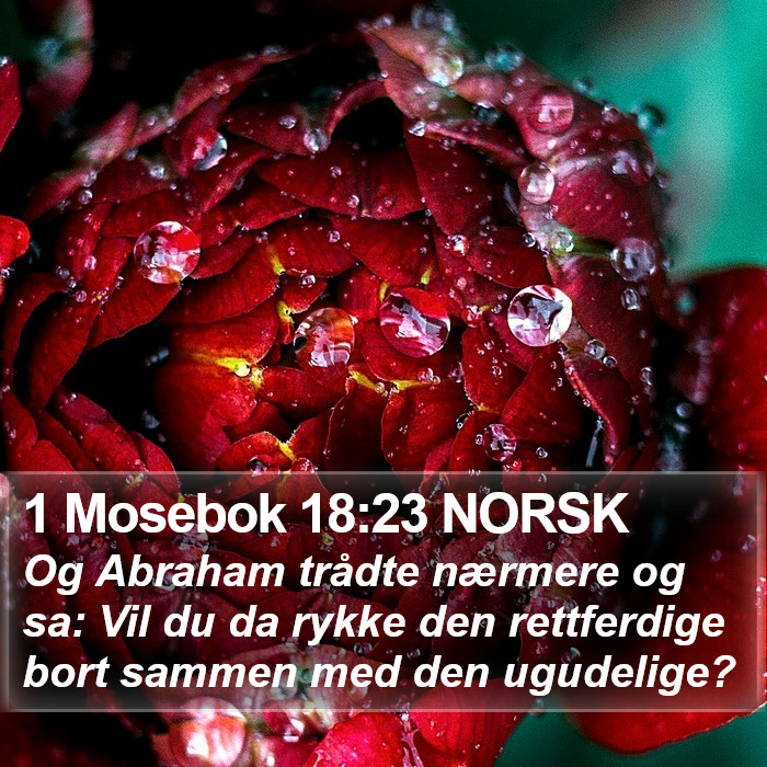 1 Mosebok 18:23 NORSK Bible Study