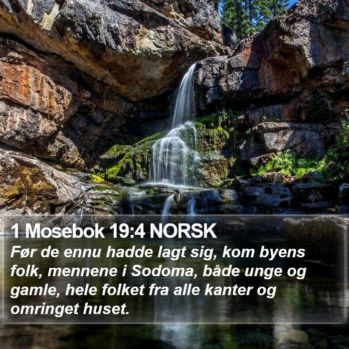 1 Mosebok 19:4 NORSK Bible Study