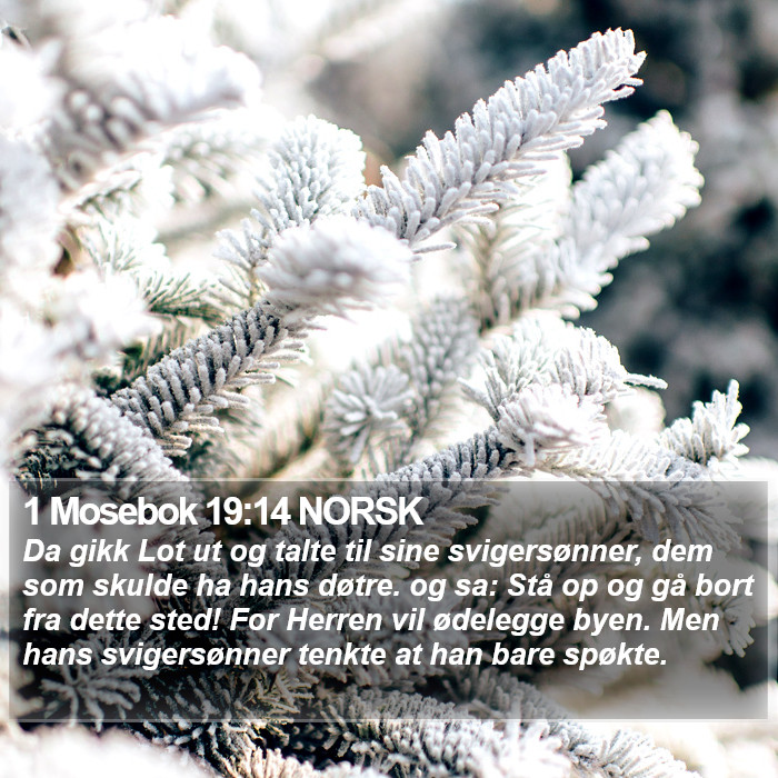 1 Mosebok 19:14 NORSK Bible Study