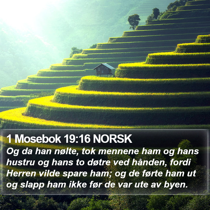 1 Mosebok 19:16 NORSK Bible Study