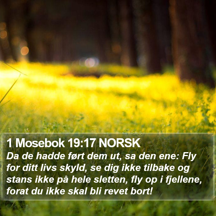 1 Mosebok 19:17 NORSK Bible Study