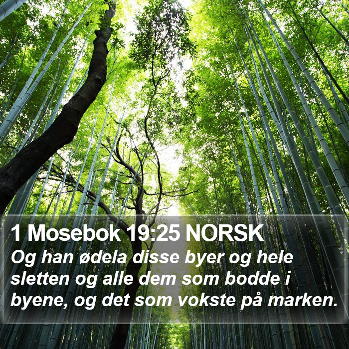 1 Mosebok 19:25 NORSK Bible Study