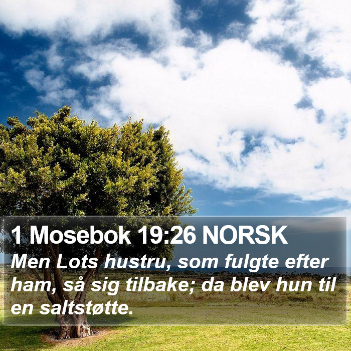 1 Mosebok 19:26 NORSK Bible Study