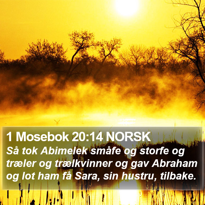 1 Mosebok 20:14 NORSK Bible Study