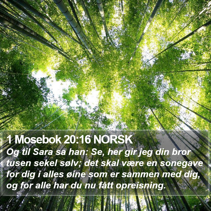 1 Mosebok 20:16 NORSK Bible Study