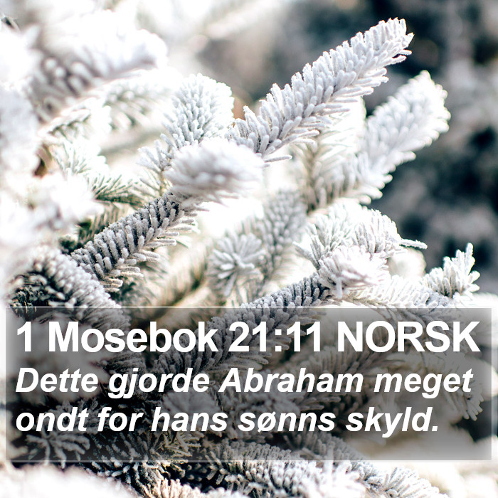 1 Mosebok 21:11 NORSK Bible Study