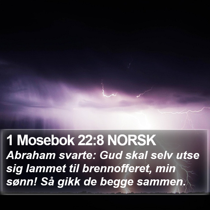 1 Mosebok 22:8 NORSK Bible Study