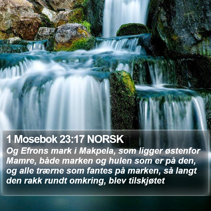 1 Mosebok 23:17 NORSK Bible Study