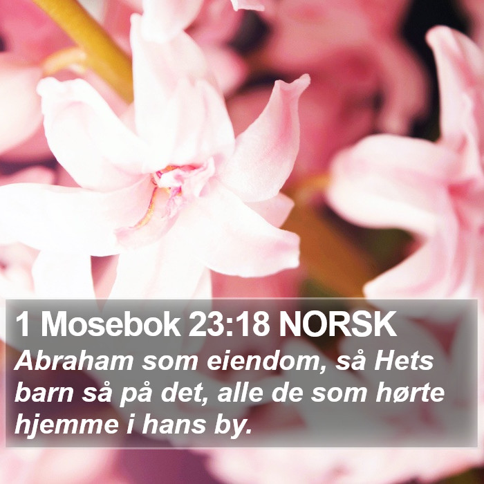 1 Mosebok 23:18 NORSK Bible Study