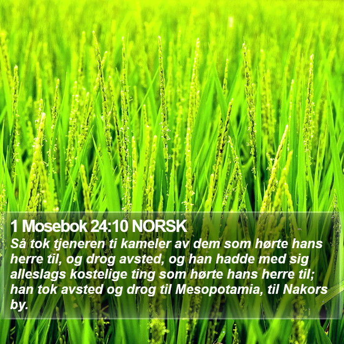 1 Mosebok 24:10 NORSK Bible Study