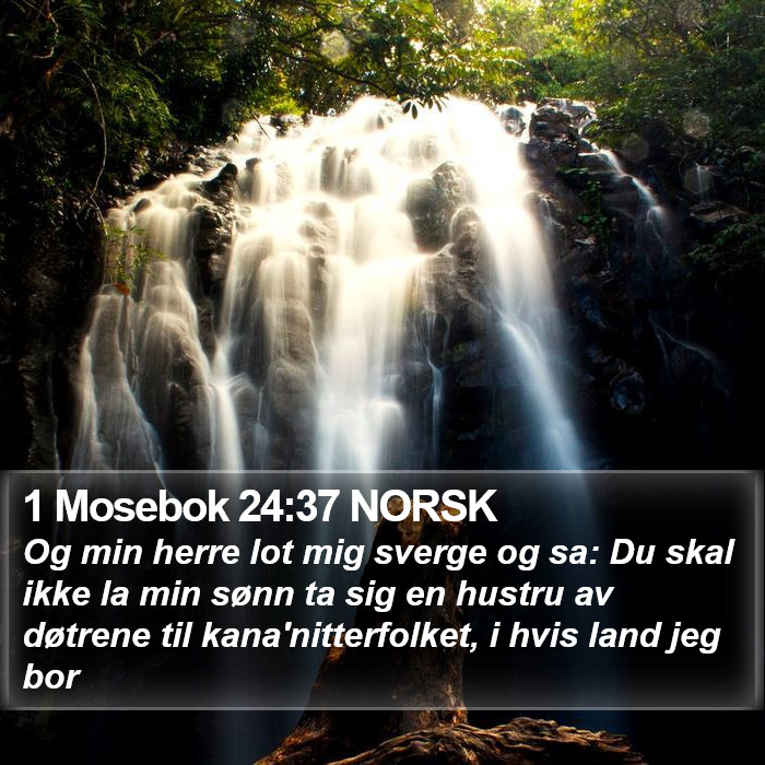 1 Mosebok 24:37 NORSK Bible Study