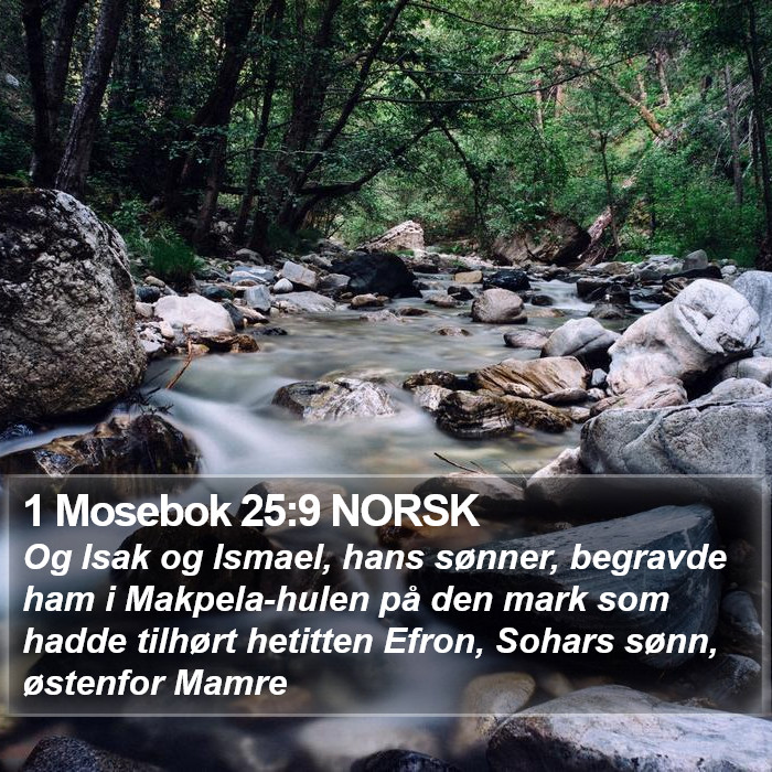 1 Mosebok 25:9 NORSK Bible Study