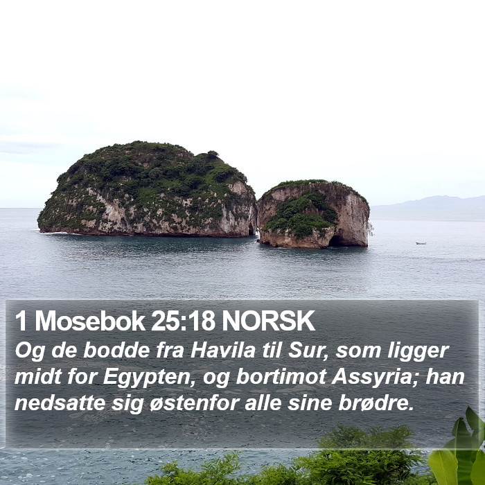 1 Mosebok 25:18 NORSK Bible Study