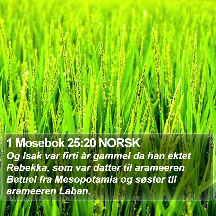 1 Mosebok 25:20 NORSK Bible Study