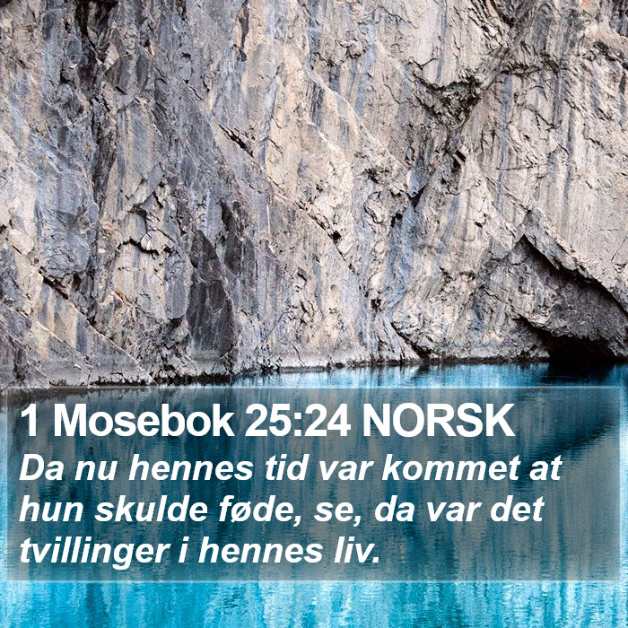 1 Mosebok 25:24 NORSK Bible Study