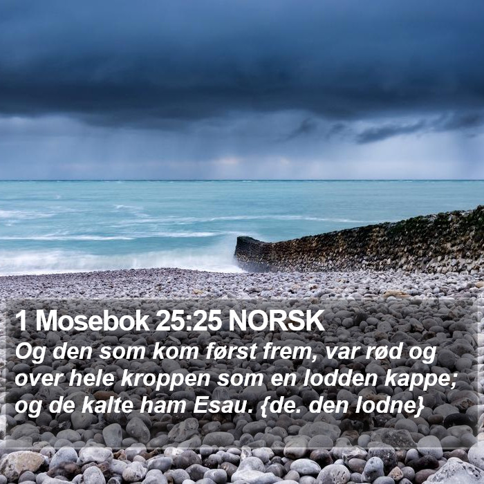 1 Mosebok 25:25 NORSK Bible Study