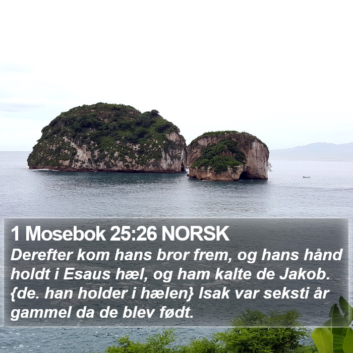 1 Mosebok 25:26 NORSK Bible Study