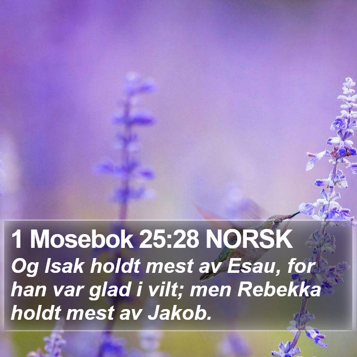 1 Mosebok 25:28 NORSK Bible Study