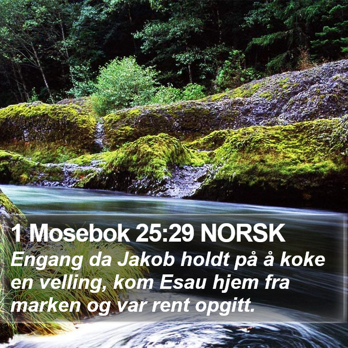 1 Mosebok 25:29 NORSK Bible Study