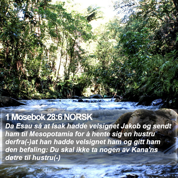 1 Mosebok 28:6 NORSK Bible Study