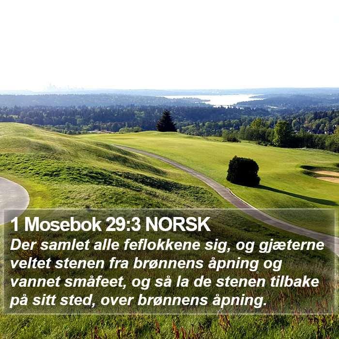 1 Mosebok 29:3 NORSK Bible Study