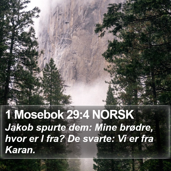 1 Mosebok 29:4 NORSK Bible Study