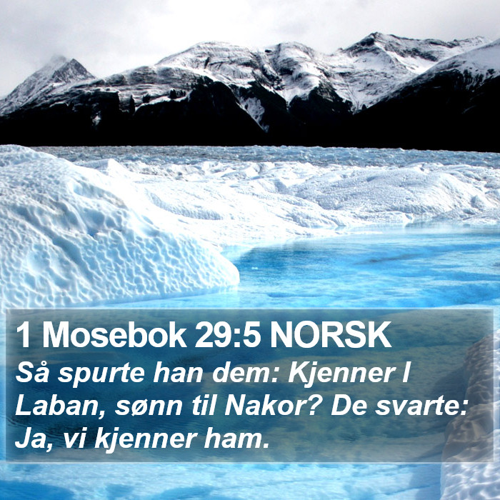 1 Mosebok 29:5 NORSK Bible Study