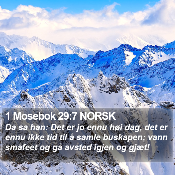 1 Mosebok 29:7 NORSK Bible Study