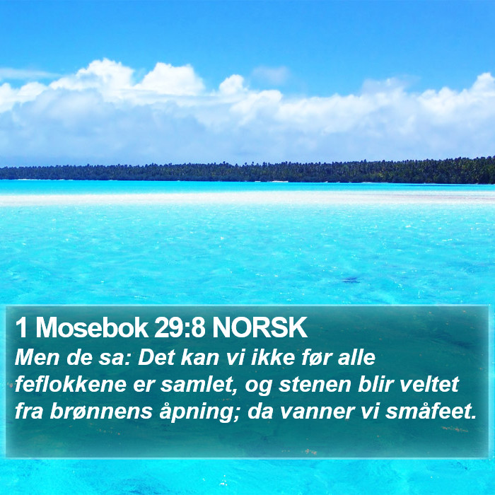 1 Mosebok 29:8 NORSK Bible Study