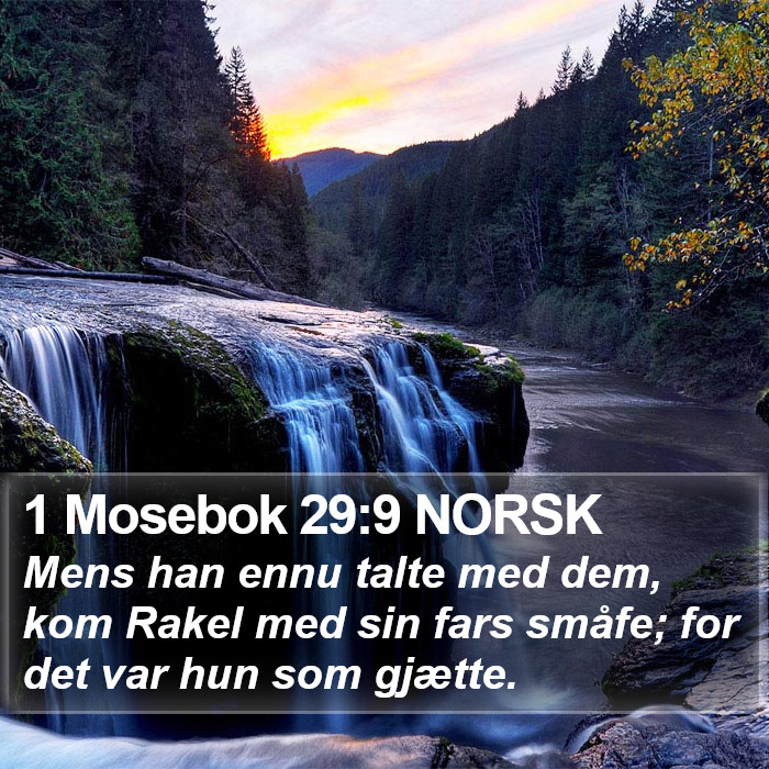 1 Mosebok 29:9 NORSK Bible Study