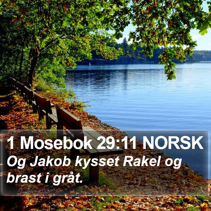 1 Mosebok 29:11 NORSK Bible Study