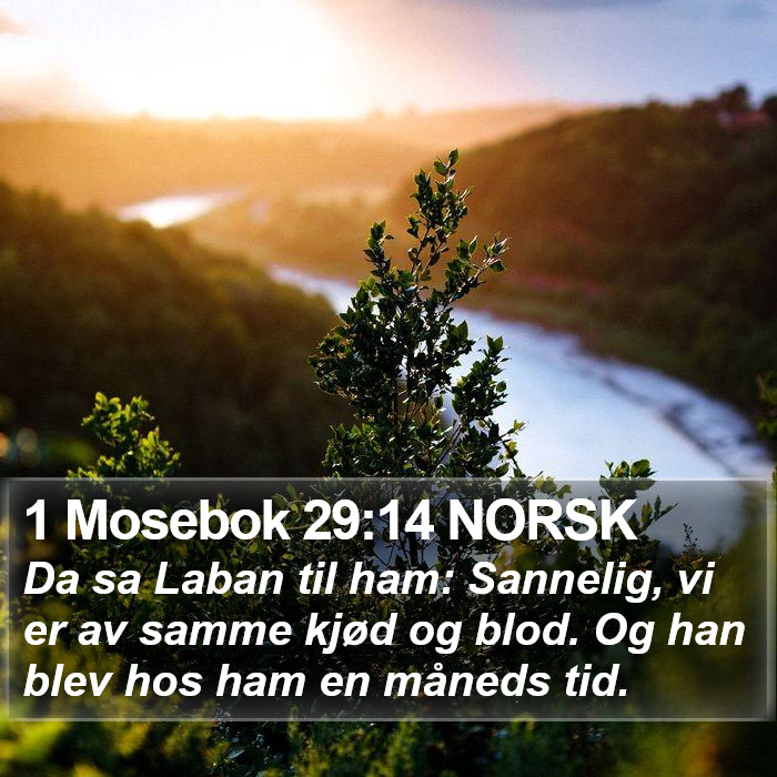 1 Mosebok 29:14 NORSK Bible Study