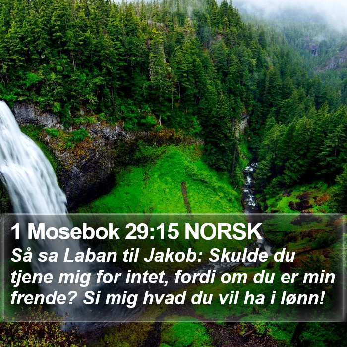 1 Mosebok 29:15 NORSK Bible Study