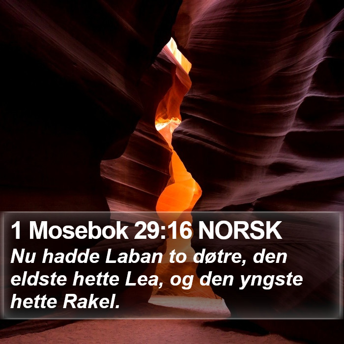 1 Mosebok 29:16 NORSK Bible Study