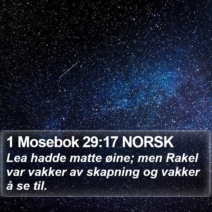 1 Mosebok 29:17 NORSK Bible Study